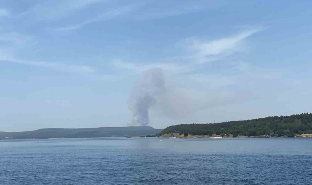 Çanakkale'de orman yangınına havadan ve karadan müdahale ediliyor