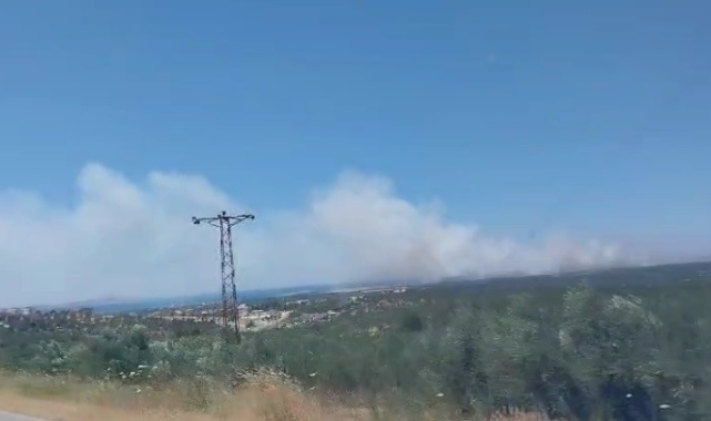 Çanakkale'de yangına havadan ve karadan müdahale ediliyor
