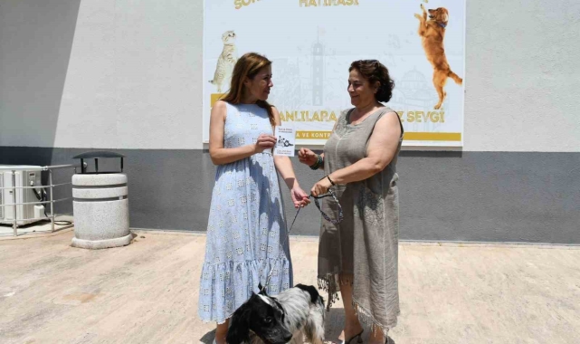 Cesur, Büyükşehir'in şefkatli ellerinde iyileşti