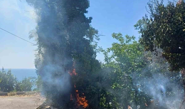 Çıkan yangın ekipleri harekete geçirdi
