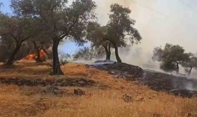 Çine'deki yangın kontrol altına alındı