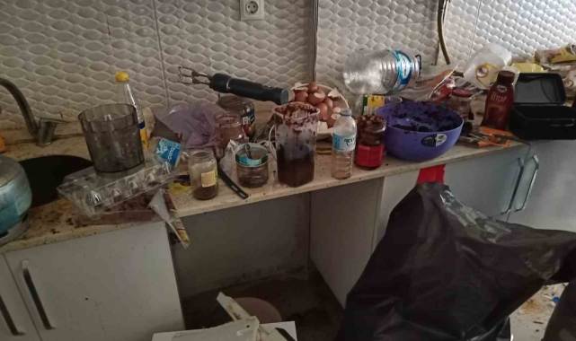 Çöp ev mahkeme kararı ile temizlenebildi