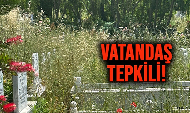 ÇUKURBAĞ MEZARLIĞI ORMAN OLMUŞ!
