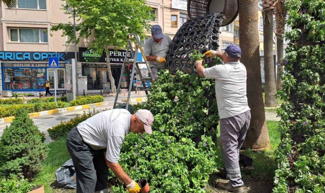 Darıca'da Kurban Bayramı öncesi hummalı çalışma sürüyor