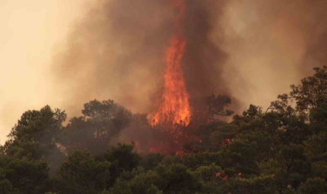 Datça'da orman yangınlarına karşı ek önlemler alındı