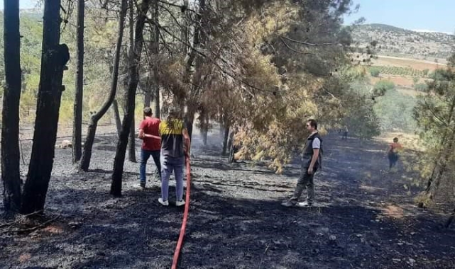 Denizli'de orman yangını kısa sürede kontrol altına alındı