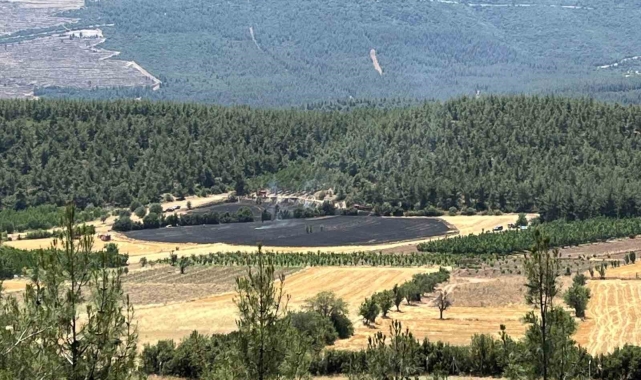 Denizli'de ormana yakın bölgede çıkan yangın söndürüldü