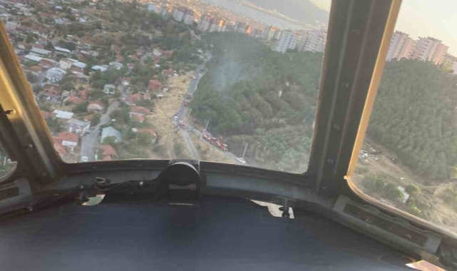 Dikili'de orman yangınına havadan ve karadan müdahale ediliyor