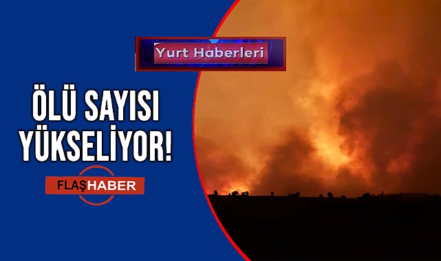 DİYARBAKIR İLE MARDİN ARASINDA ORMAN YANGINI!