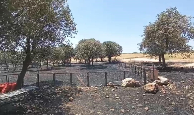 Diyarbakır ve Mardin'deki yangının çıkış sebebine ilişkin her ihtimal araştırılıyor