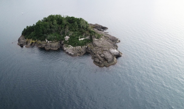 Doğu Karadeniz'in tek yaşanabilir adasını turizme kazandırmak için yatırımcı bekleniyor