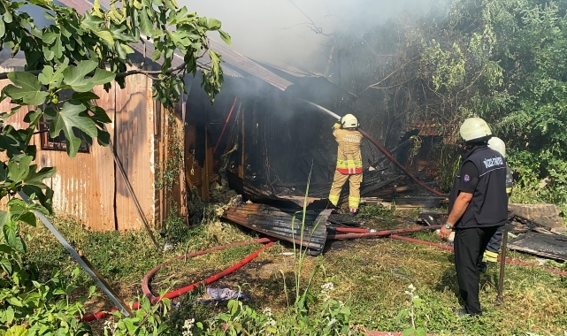 Düzce'de barakada çıkan yangında 17 güvercin öldü