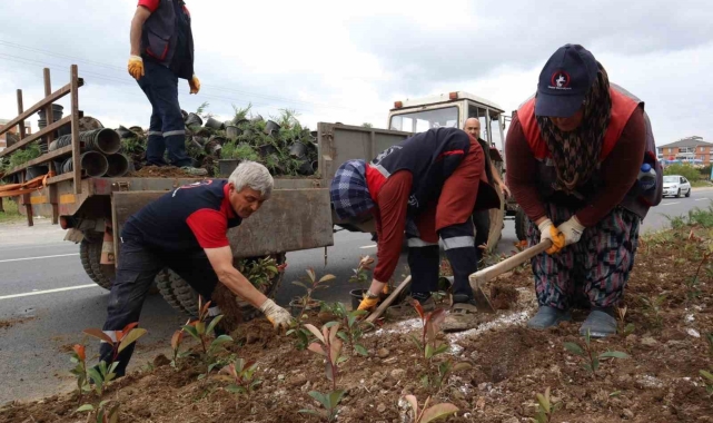 Düzce'nin dört bir yanı çiçeklendiriliyor
