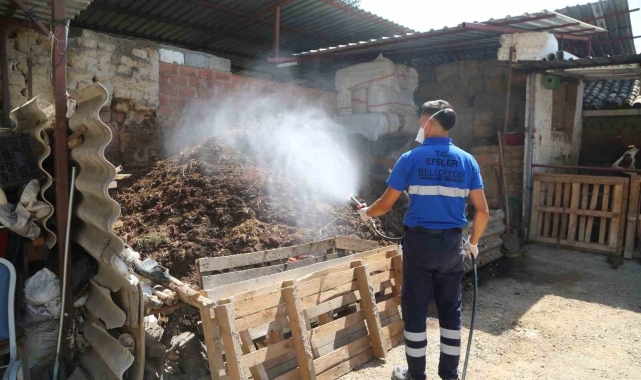Efeler'de ilaçlama çalışmaları hızla sürüyor