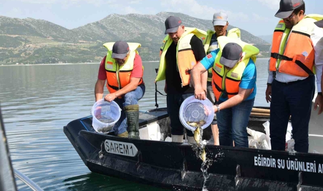 Eğirdir Gölü'ne 5 bin sazan balığı bırakıldı