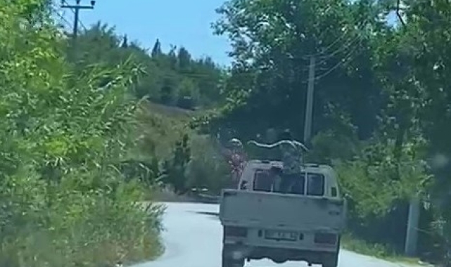 Elde kalan karpuzları tekmeyle kamyonet kasasından yola fırlattı