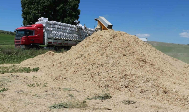 Elde kalan saman Karadeniz ve Akdeniz Bölgesi'ne gönderildi