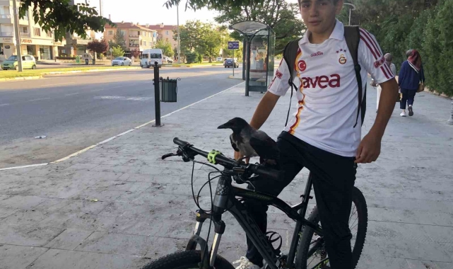 Erzincan'da karga ile lise öğrencisinin dostluğunu görenler imreniyor