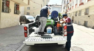 Esenyurt Belediyesinden haşere ve böceklerle etkin mücadele
