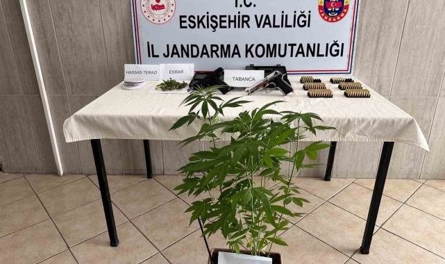 Evinde kenevir yetiştiren şahsa jandarma operasyonu