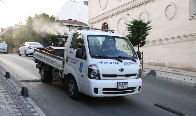 Eyüp'te sivrisinek ilaçlama çalışmaları aralıksız sürüyor