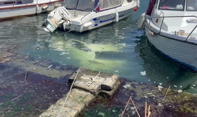 Fatih Ayvansaray Caddesi üzerinde sürücüsünün yol kenarına park ettiği otomobil denize düştü. Otomobilin içerisinde kimsenin olmadığı öğrenilirken, bölgeye ekipler sevk edildi.