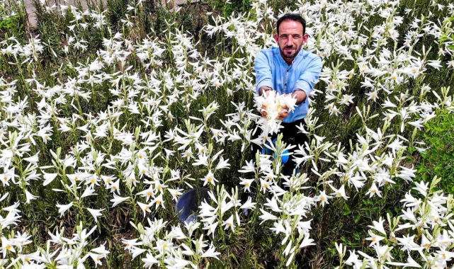 Faydaları saymakla bitmiyor, fiyatıyla dudak uçuklatıyor