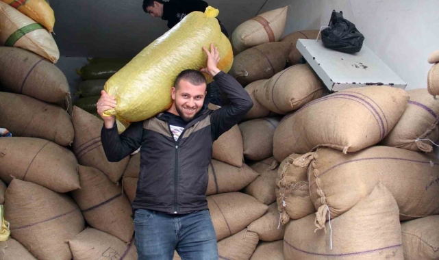 Fındığın en ağır yükünü onlar çekiyor