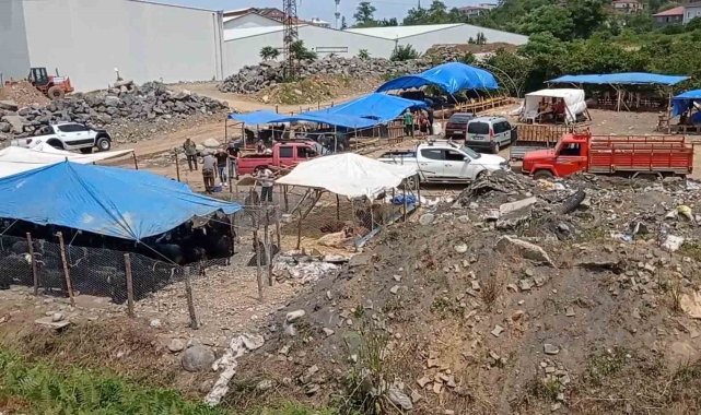 Fındıklı'da kurban satıcılarının Belediye Başkanı ve yakınlarının saldırısına uğradığı iddiası