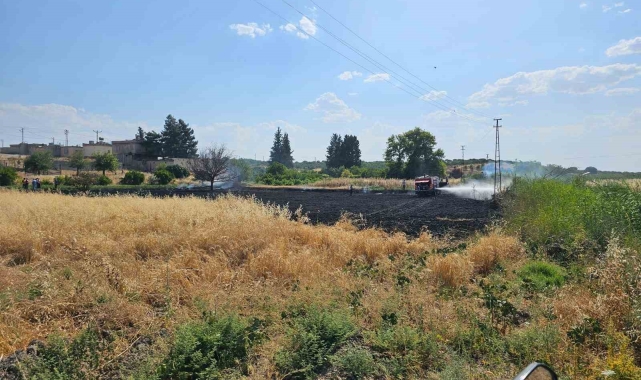 Gaziantep'te 10 dönüm buğday tarlası küle döndü