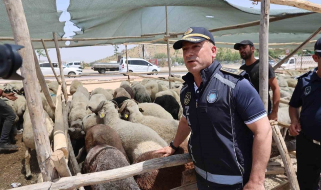 Gaziantep'te Kurban Bayramı öncesi sıkı denetimler sürüyor