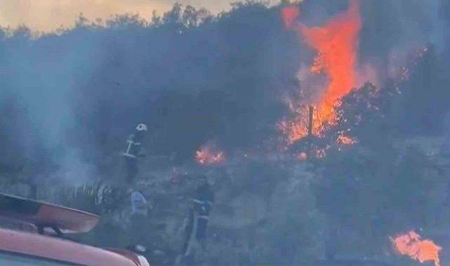 Gaziantep&#039;te orman yangını