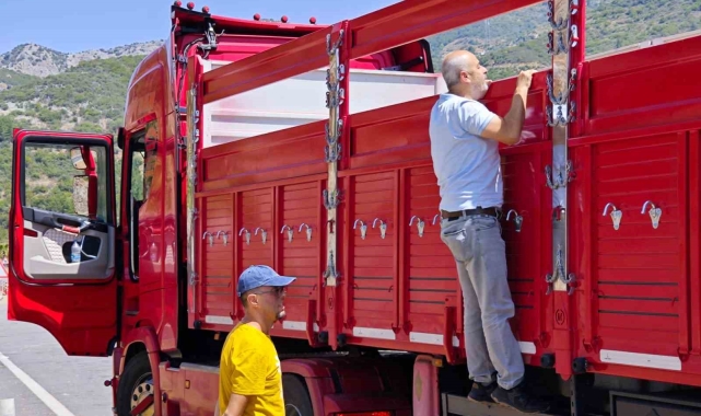 Gazipaşa'da kurbanlıklar denetlendi