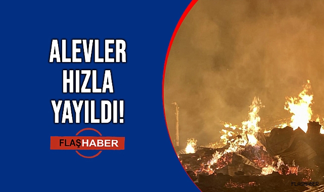 GECE ÇIKAN YANGIN BÜYÜK PANİK YAŞATTI!