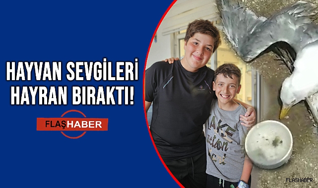 GENÇ KAHRAMANLAR BİTKİN MARTIYI KURTARDI!