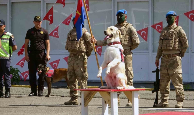 Giresun'da Jandarmadan nefes kesen gösteri