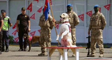 Giresun'da Jandarmadan nefes kesen gösteri