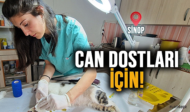 GÖNÜLLÜ ÇALIŞTI!