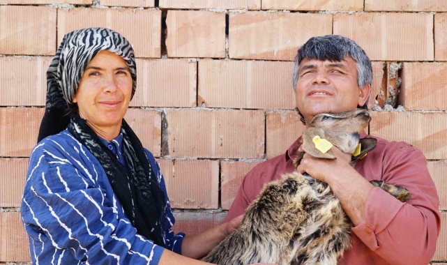 Görme engelli çiftin yaşam azmi: Hayvan otlatıp tarlada çalışıyorlar