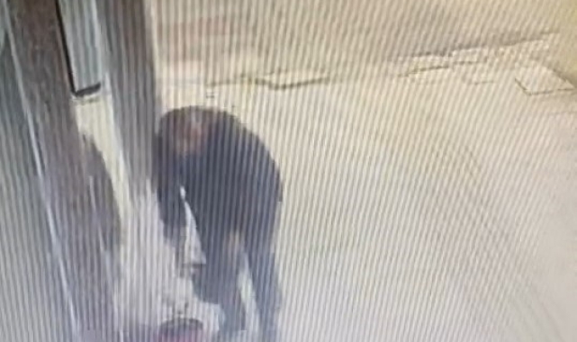 Gözüne kestirdiği çiçeği saksısıyla birlikte saniyeler içerisinde götürdü