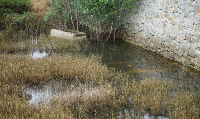 Gümüşhane'de her yıl sular altında kalan 50 mezarlık taşınacak