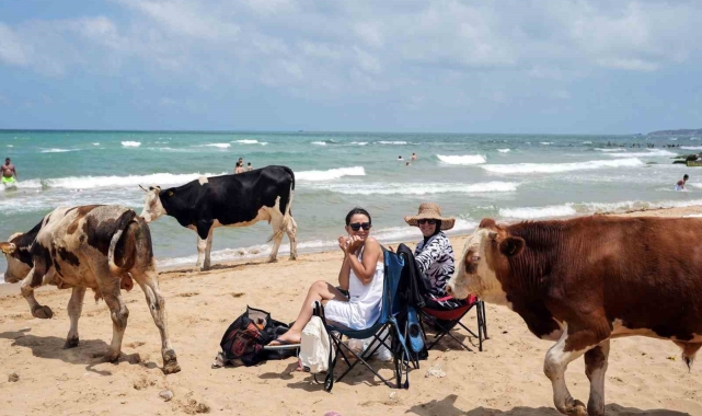 Halk plajları doldu, 'beach'lerde şezlonglar boş kaldı