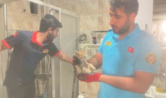 Havalandırma boşluğuna düşen yavru kedi böyle kurtarıldı