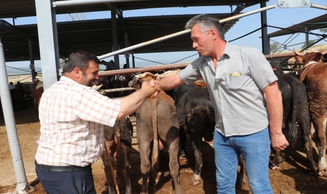 Havza'da kurban pazarı kuruldu