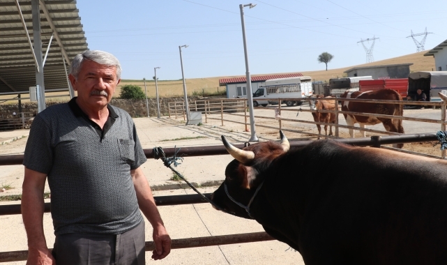 Havza Ziraat Odası Başkanı Genç'ten damızlıkların kurbanlık yapılmaması uyarısı