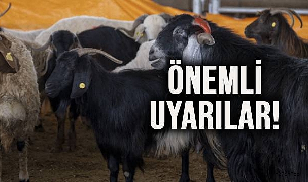 HAYVAN YETİŞTİRİCİLERİNDEN KURBANLIK ALACAKLARA ÇAĞRI!