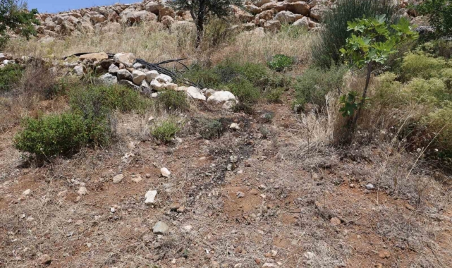Her yerde aranıyordu, bahçesini sulayan vatandaşın aldığı koku üzerine cesedi bulundu