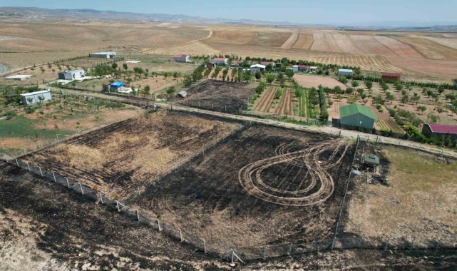 Hobi bahçesindeki yılan için az kalsın köyü yakıyorlardı