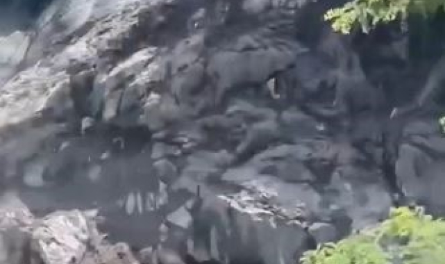 Hopa'da yamaçtan kopan kayalar seyir halindeki araca isabet etti: Karayolu ulaşıma kapandı