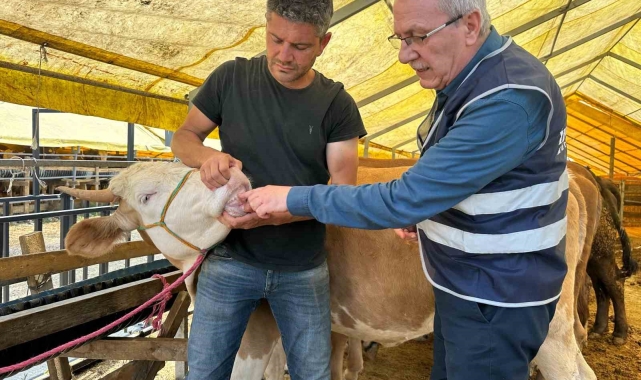İhlas Vakfı Kurban Bayramı'nda faaliyetlerini sürdürüyor